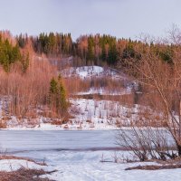 Река Ухта, несмотря на аномальное потепление, по прежнему подо льдом :: Николай Зиновьев
