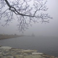 *** :: Сергей Григорьев