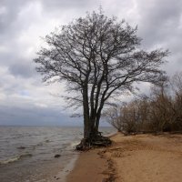 *** :: Сергей Григорьев