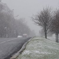 Апрельский снегопад. :: Николай 