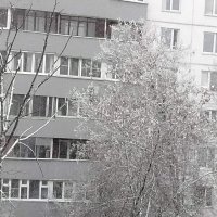 Сегодня снег выпал :: Дмитрий Никитин