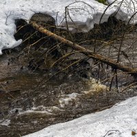 Журчащий поток :: Сергей Цветков