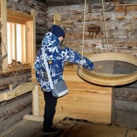 Просеивание зерна :: Татьяна Лютаева