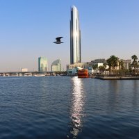 На берегах дубайского водного канала :: Галина Ильясова