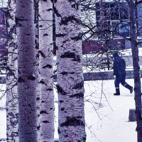 Раннее утро апреля! :: Владимир 