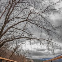 Весенняя река :: Roman Freewind