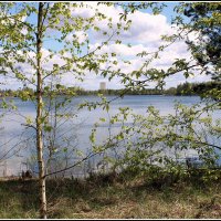 *** :: Aleksandr Gal *** :: Aleksandr Gal