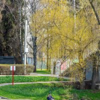 Весенний прифронтовой Белгород :: Михаил 