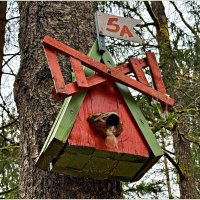 В лесу. :: Валерия Комова