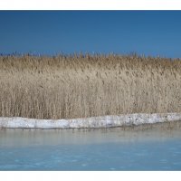 * :: Александр Иванов