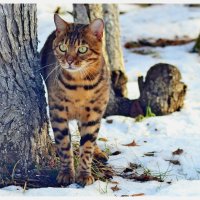 Что там такое? :: Михаил К