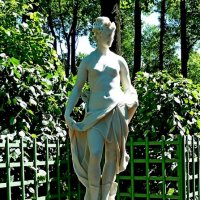 ЛЕТНИЙ САД. :: Виктор Осипчук ЛЕТНИЙ САД. :: Виктор Осипчук