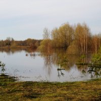 Половодье :: Наталья ***