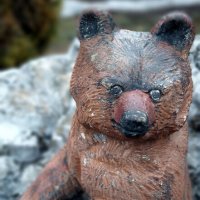 Медвежонок :: Радмир Арсеньев