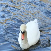 Привет :: Митя Дмитрий Митя