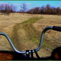 Дорога в лето :: Геннадий Худолеев Худолеев Дорога в лето :: Геннадий Худолеев Худолеев