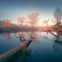 «Луч солнца золотого...»© :: Roman Lunin