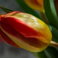 *** :: Виктор Иванович Чернюк *** :: Виктор Иванович Чернюк