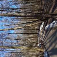 Еще недопоказанное в марте :: Андрей Лукьянов