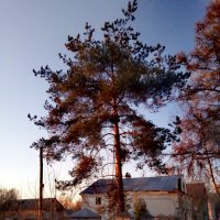 Весенний вечер :: Сергей Кочнев