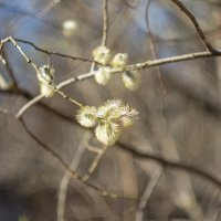 ___ :: Yuriy V ___ :: Yuriy V