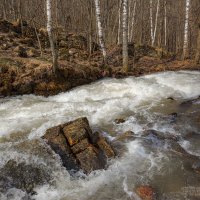 Весенний ручей :: NikitinAleks 