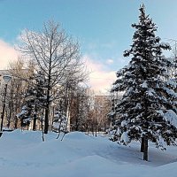 Зима. :: Владимир Драгунский