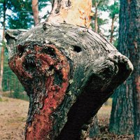 *** :: Алексей Смирнов