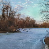 Весенние зарисовки в парке Победы. :: Лилия *