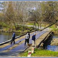 ОСМОТР :: Владимир Кроливец