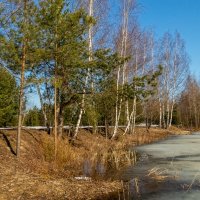 На исходе марта 8 :: Андрей Дворников