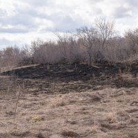 ,,, :: Сергей Яковлев