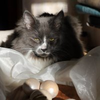 С Пасхой! :: Natali 