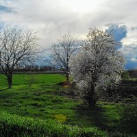 Весна. :: Владимир