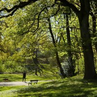 Апрельском утром :: Юрий. Шмаков