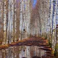 весна :: Владимир иванов