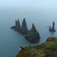 Морские скалы Рейнисдрангар, Исландия. :: unix (Илья Утропов)