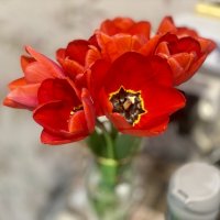 Светлый праздник :: Alexey YakovLev Светлый праздник :: Alexey YakovLev