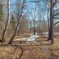 Апрель :: Валерий Иванович