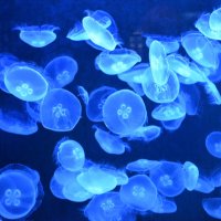 лейпциг2026 :: Алексей Короткевич