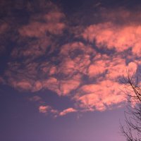 Вечерние облака :: Людмила Смородинская