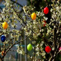 Светлое, ясное утро пасхальное :: Юрий. Шмаков