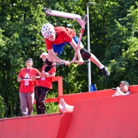 Махаон. :: Валерий Пославский