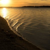 * :: Константин Ясинский