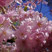 Боже мой, как все красиво! Всякий раз как никогда. ... :: Галина