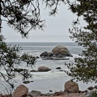 Новая весна :: Хватова Марина 