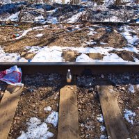 Фотография :: Денис Безногов