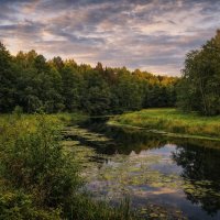 Река Нерль :: Денис Бочкарёв