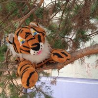 Затаился :: Елена Шаламова Затаился :: Елена Шаламова