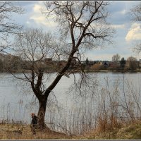 *** :: Aleksandr Gal *** :: Aleksandr Gal